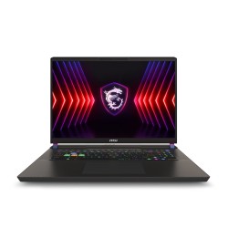 MSI NB VECTOR 17 HX A14VGG-229TR I9-14900HX 32GB DDR5 RTX4070 GDDR6 8GB 2TB SSD 17.0 QHD+ 240Hz W11 - Thumbnail