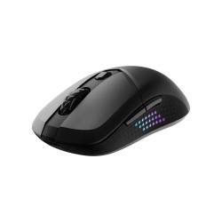 Msi Versa 300 Elite 2.4 GHz Bluetooth 5.3 Kablosuz Mouse - Thumbnail